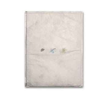 capaNote-rosas-e-delirios-notebook-verso