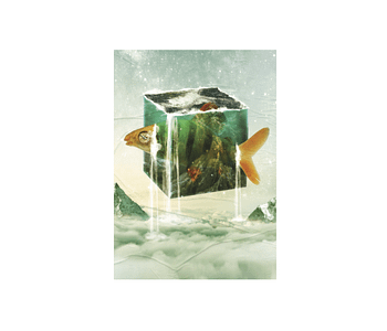 dobra - Lambe Autoadesivo - The fish box