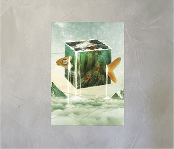 dobra - Lambe Autoadesivo - The fish box