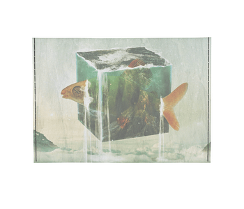 dobra - Porta Cartão - The fish box