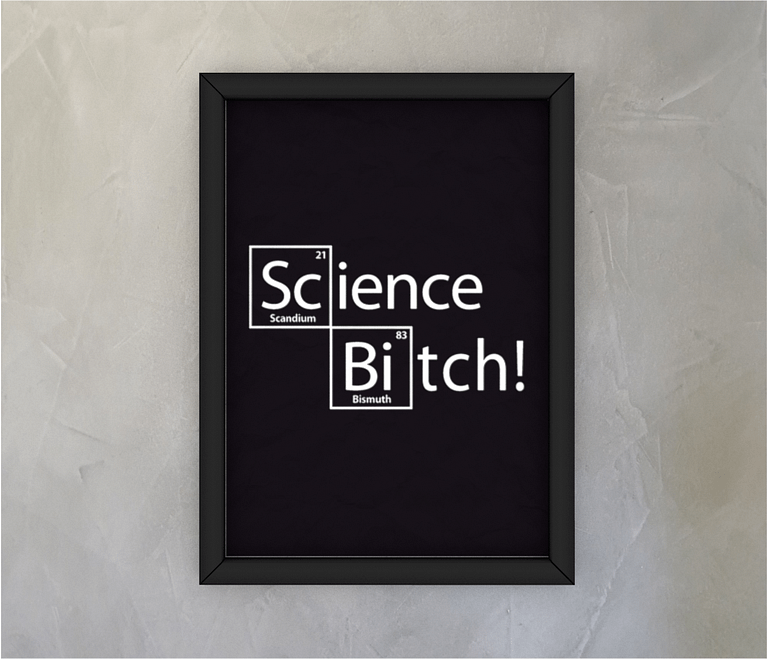 dobra - Quadro - Science Bitch!