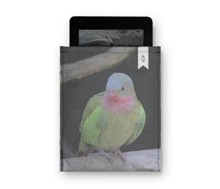 dobra - Capa Kindle - The colourful princess parrot