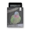 dobra - Capa Kindle - The colourful princess parrot