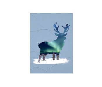 dobra - Lambe Autoadesivo - rena boreal