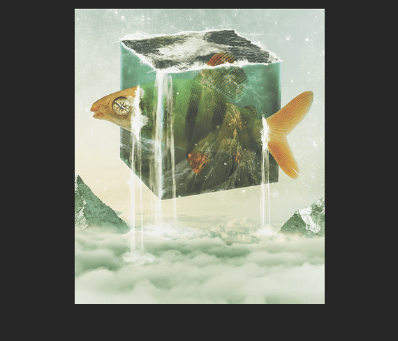 dobra - Camiseta Estampada - The fish box