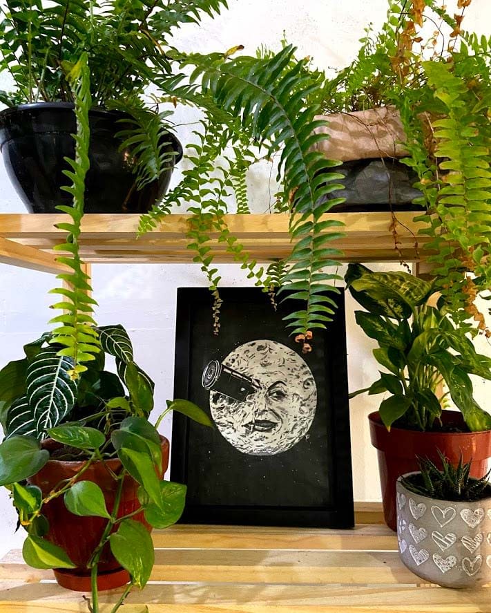 foto quadro lua no meio plantas
